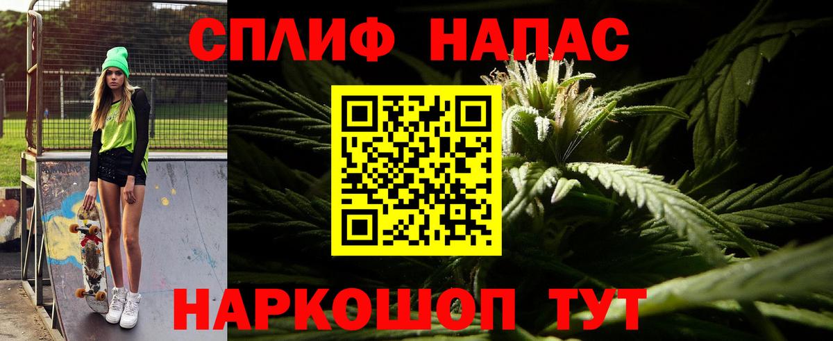 Конопля OG Kush Дзержинск